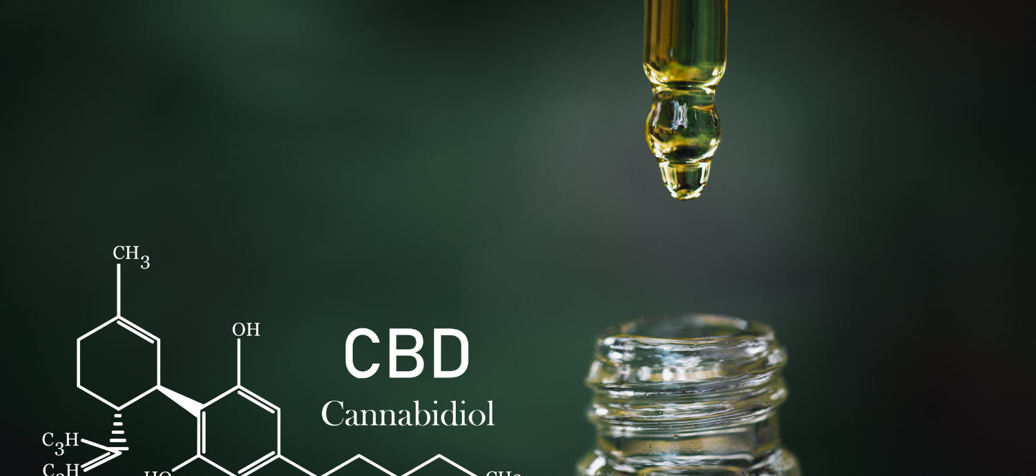 CBD olaj és az endokannabinoid rendszer illusztrációja