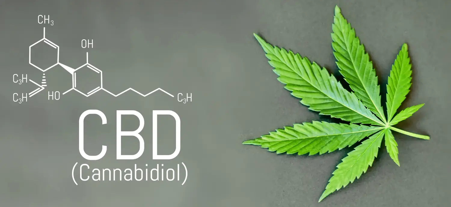 CBD készítmények áttekintő képe