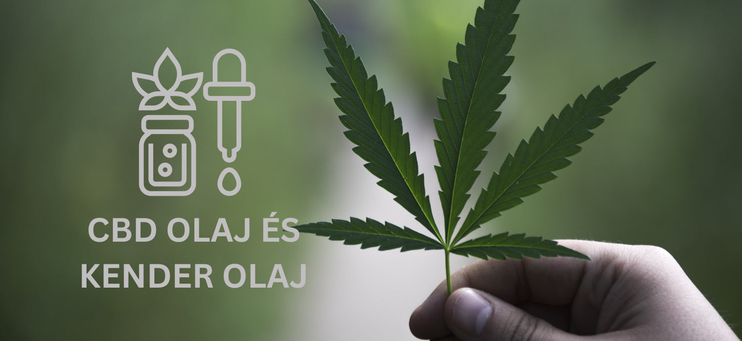 CBD olaj és kendermagolaj egymás mellett