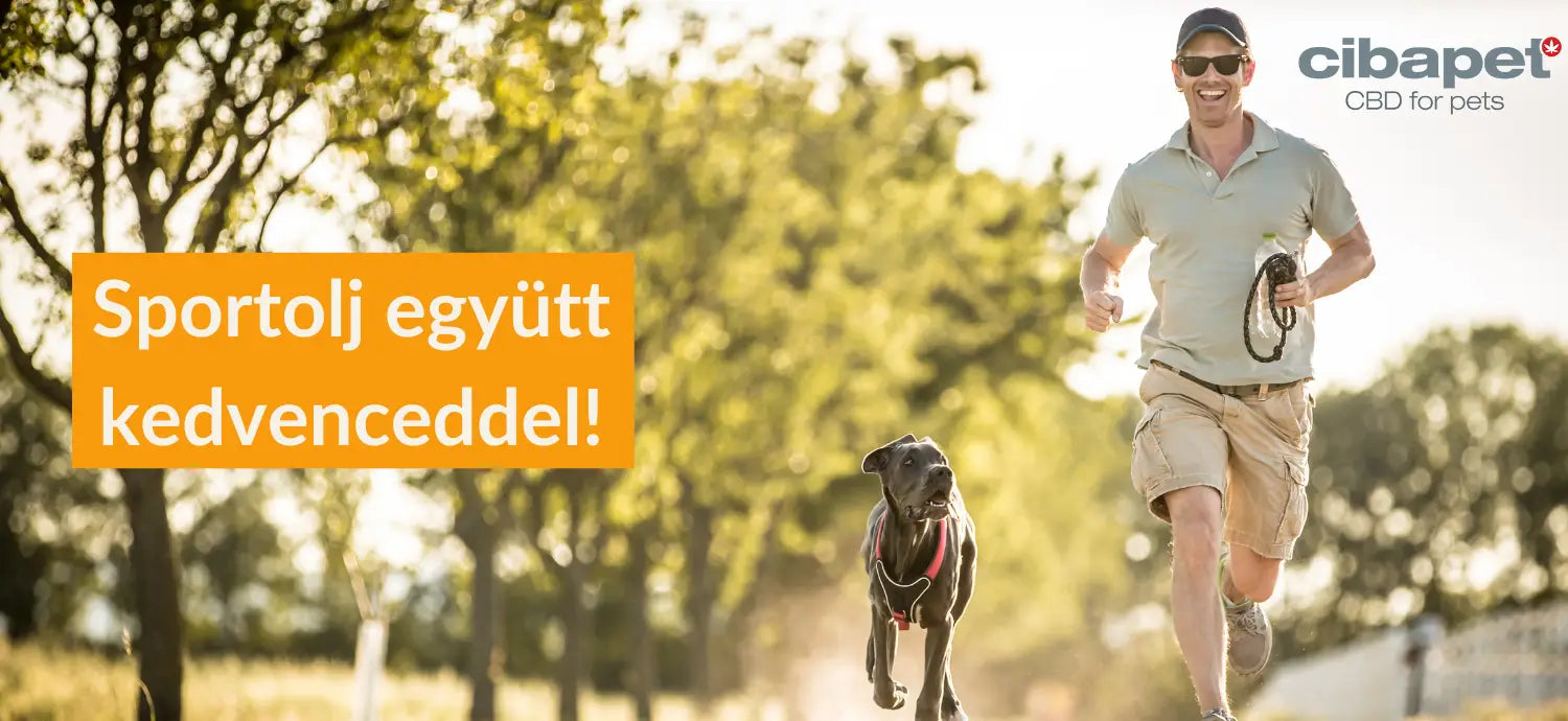 Kutya mozgás közben, mellette Magnapet CBD olaj kutyáknak