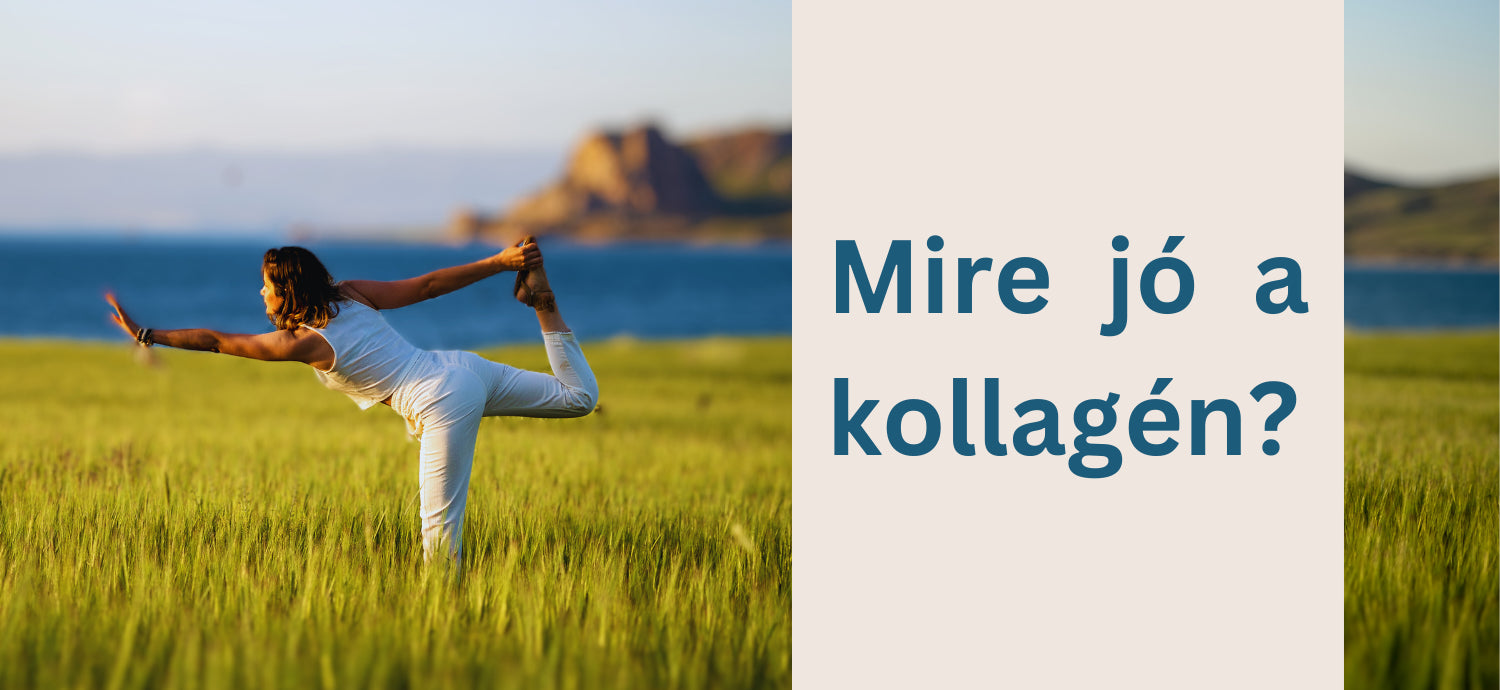 Magna FIT 'n SKIN kollagén ital marhakollagénnel és hialuronsavval