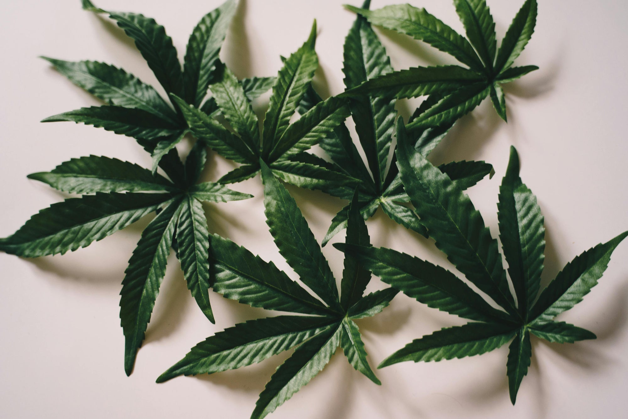 CBD sziv: A CBD használatának új dimenziója a mindennapi életben
