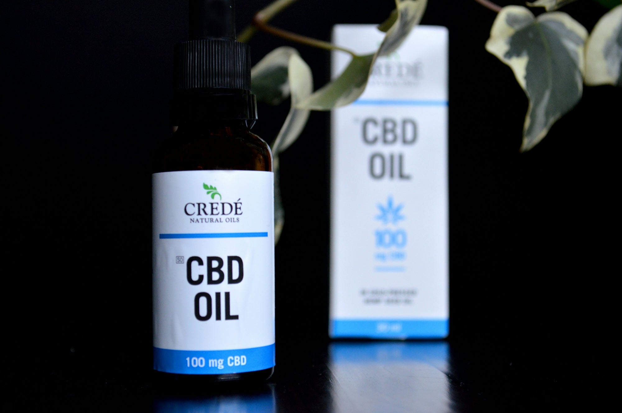 a bottle of cbd oil next to a box of cbd oil