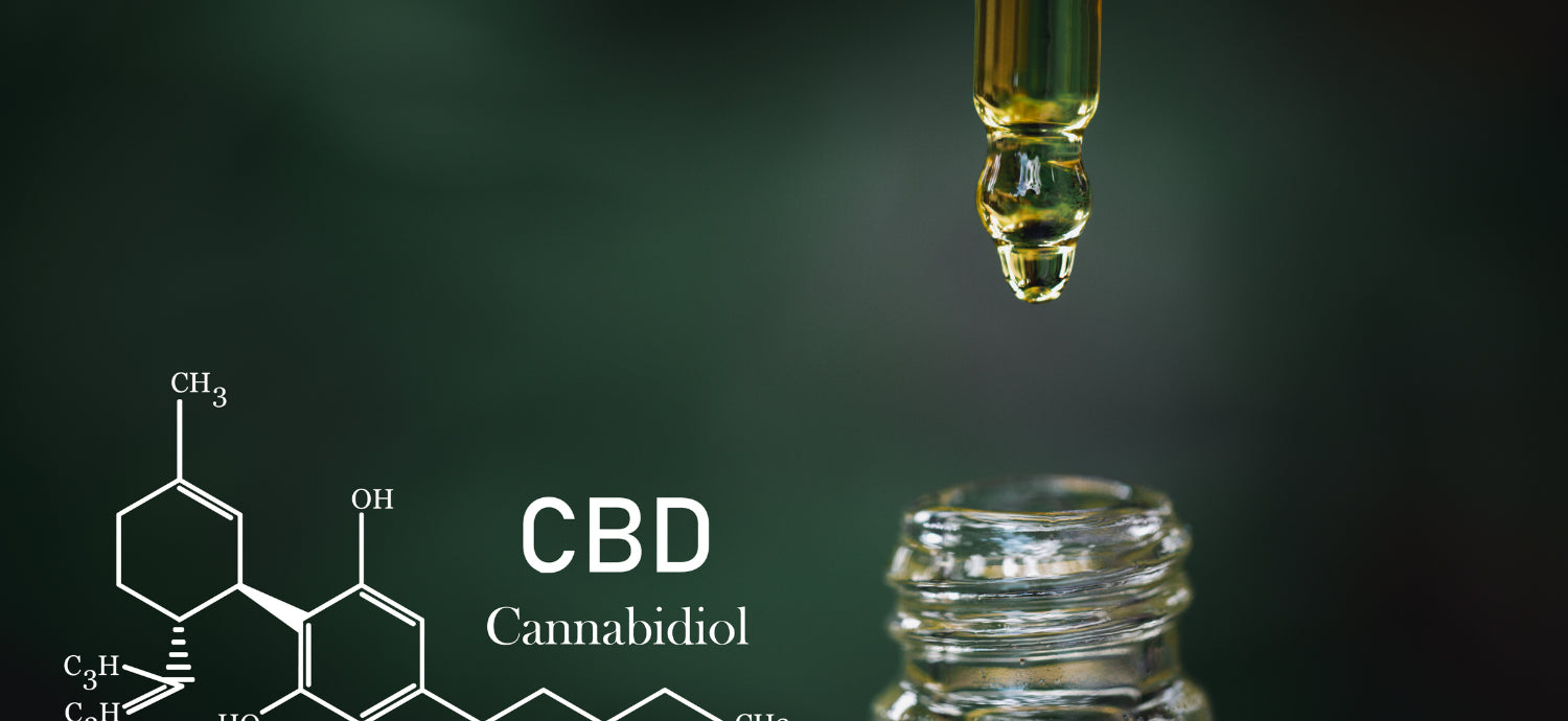 A CBD olaj és az endokannabinoid rendszer