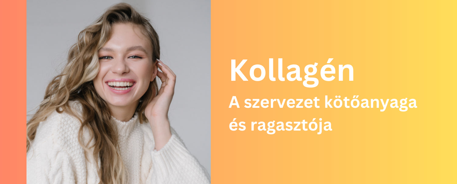 Kollagén – A szervezet kötőanyaga és ragasztója