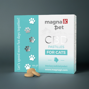 Magnapet CBD tabletta macskáknak csomagolásban, kiscica mellett